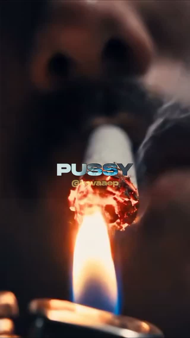 "OHAL" ONLİNE @kavamamba @juxyyyy @adasbeats KAVA, gerçek adıyla Enes Berke Karaaslan, Bursa çıkışlı Türk rap sanatçısıdır. Hood trap ve drill tarzındaki müzikleriyle tanınan KAVA, 2025’te FLOW360 rap yarışmasına katılarak finale kadar yükseldi ve yarışmayı 2. sırada tamamladı. Ardından “Belly”, “Cadillac”, “MESSI”, “Jön” ve “Kaybetmezsin” gibi parçalarla dikkat çekerek dinleyici kitlesini büyüttü. 2026 yılında müzik üretimine hız veren KAVA, Reckol gibi sanatçılarla da ortak çalışmalar yaptı ve Türkçe rap sahnesinde yükselen isimlerden biri hâline geldi. #keşfet #hiphop #lyrics #lyricsvideo #lyricsedit